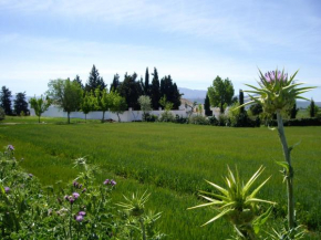  Cortijo Jabonero  Мольина